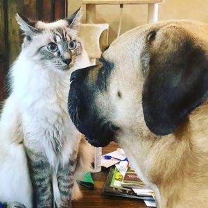 Meet your Posher, Misty